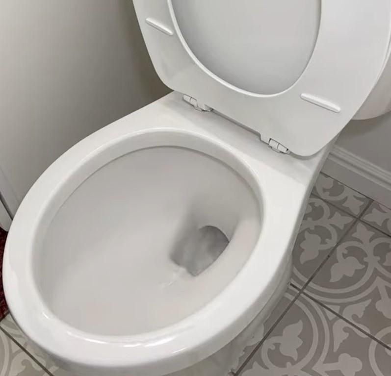 Clog Toilet