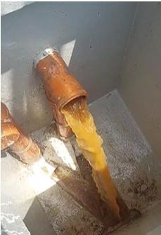 Drainage cleaning